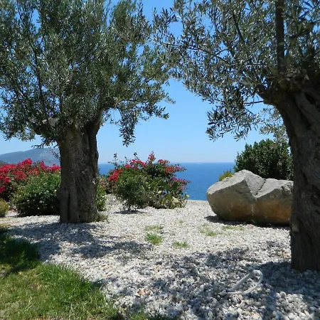 Athena * Ermioni
